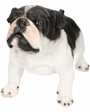 Decoratief beeld van een zwart witte Engelse bulldog