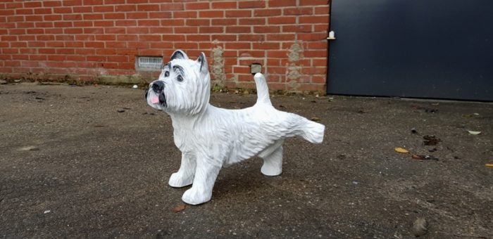Vrolijke beelden van een West Highland white terrier