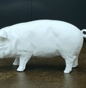 Kunststof beeld van een groot wit varken kopen