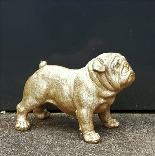 Engelse bulldog beeld goud