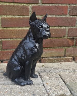 Mooi beeld van een zwart hondje