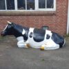 Beeld liggende XXL koe
