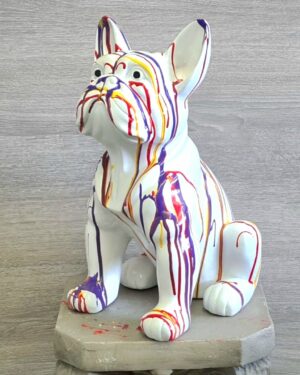 Franse Bulldog wit kleur
