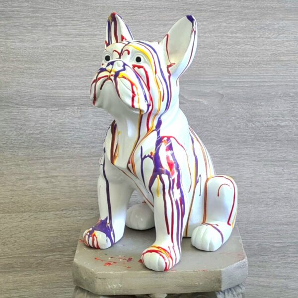 Franse Bulldog wit kleur