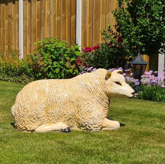 Levensecht beeld van een Texels schaap kopen voor in de tuin