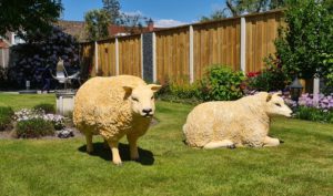 Beelden polyester schapen Texel schapen in de tuin