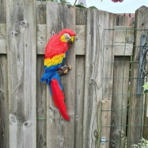 Beeld papegaai vogel in tuin roodstaart Ara