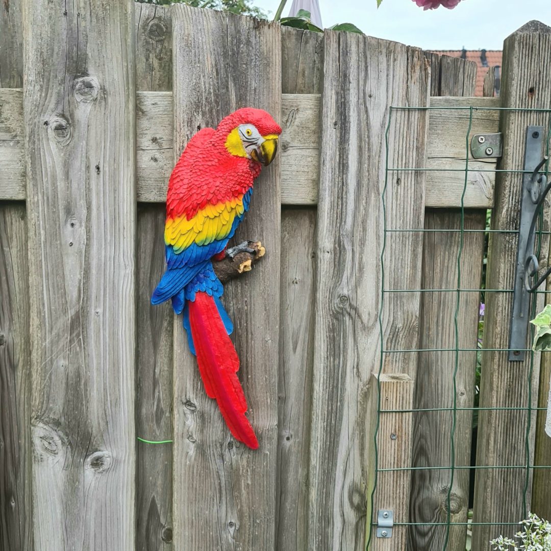 Papegaai Ara - De dierenbeelden