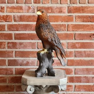 Beeld, tuinbeeld roofvogel. Grote adelaar voor in de tuin