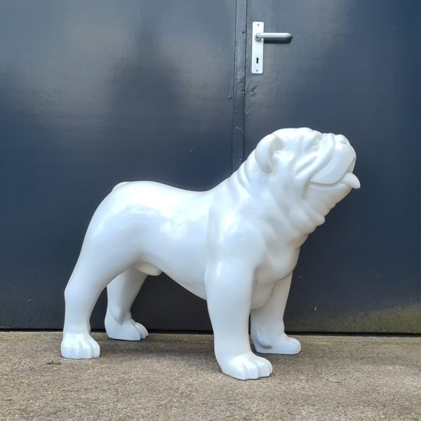 Polyester bulldog beeld bulleke belgie beelden kopen