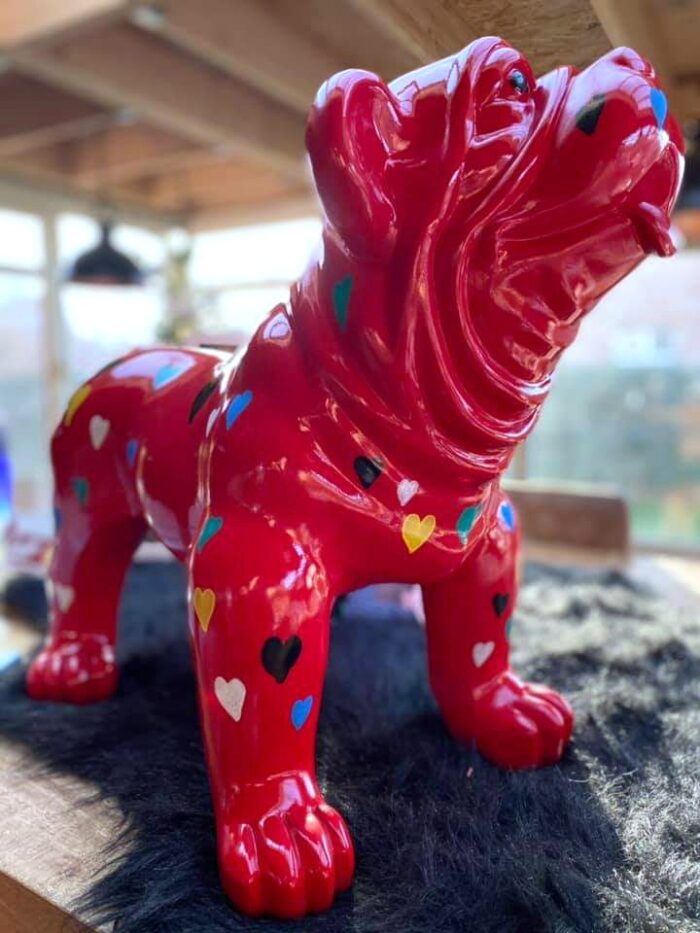 Rode bulldog belgië kopen. Beeld met hartjes