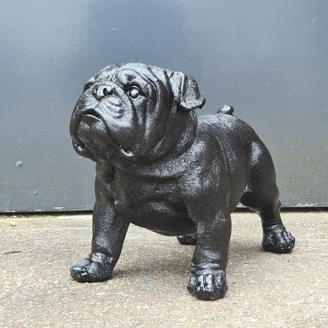Herhaald oppervlakte redactioneel Exclusieve zwarte Engelse Bulldog - De mooiste dierenbeelden