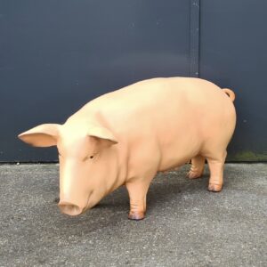 Levensechte dierenbeelden kopen Almelo