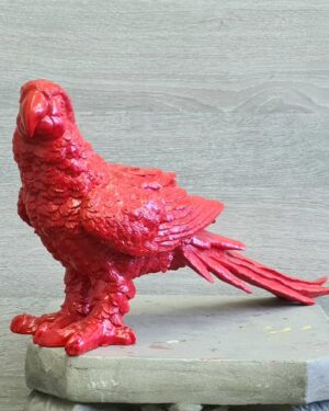 Rode ara vogel gekleurd beeld