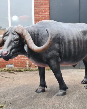 Levensechte buffel, beeld levensgrote buffel