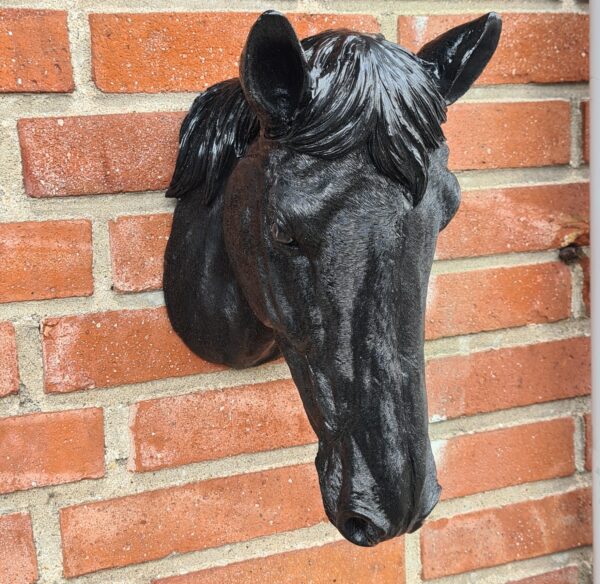 Polyester hoofd paard voor aan de muur