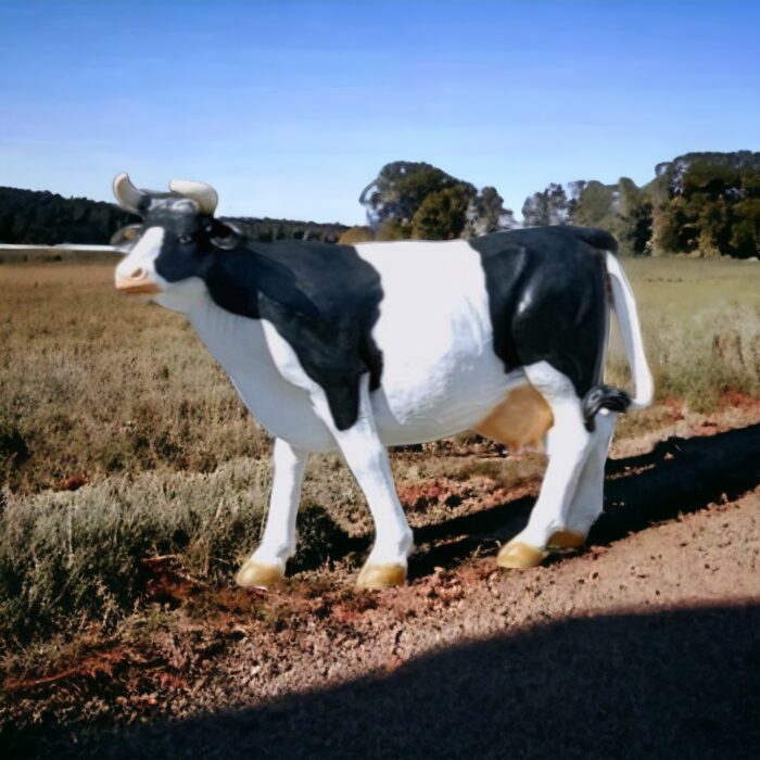 Levensechte beelden van koeien