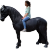 Polyester Fries paard kopen bij Vrolijke Beelden