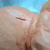 Spaarvarken XXL Inworpsleuf | B25xH14,5xD16cm Dolomiet roze | Spaarpot Geldgeschenk