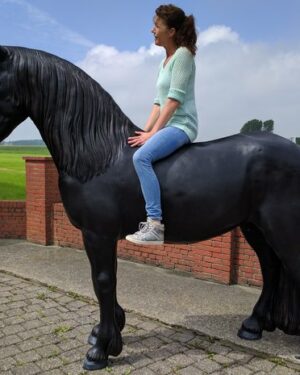 Grote Friese paarden beelden