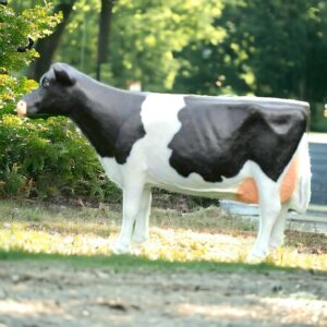 Levensechte Holstein Friesian koeien