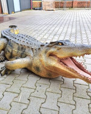 Levensgrote krokodillen beelden van kunststof