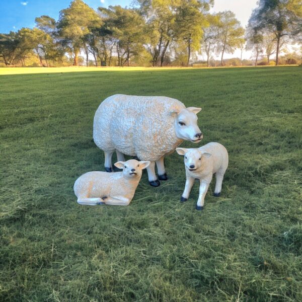 Moeder schaap met lammetjes