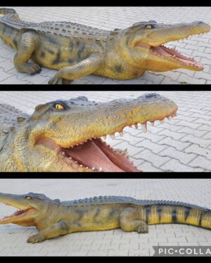 Levensechte krokodillen beelden voor buiten