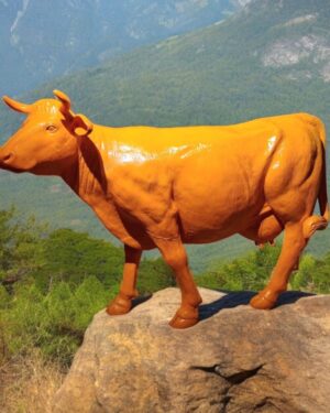Oranje koe polyester kopen