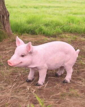 Varken levensecht voor in de tuin