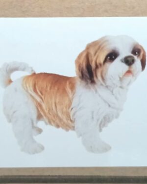 Beeldje Shih Tzu staand