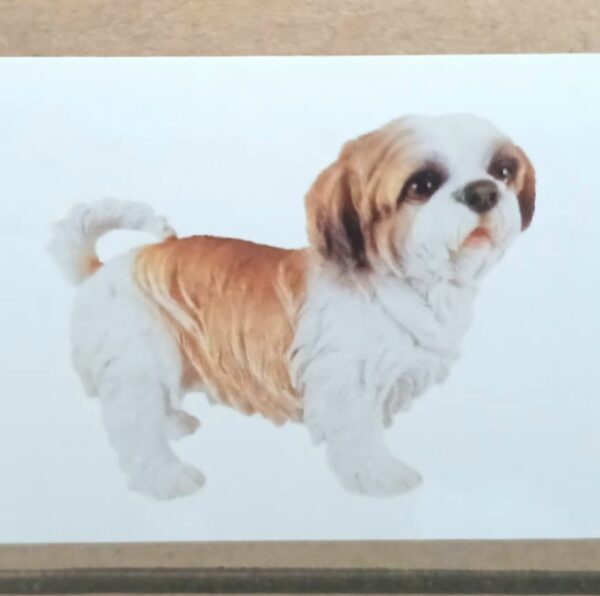 Beeldje Shih Tzu staand