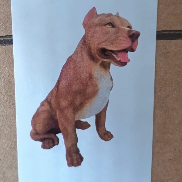 Beeld bruine pitbull 55 cm