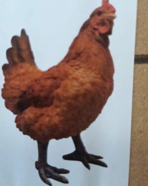 Beeld bruine kip 37 cm