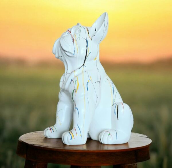 Franse Bulldog wit druip