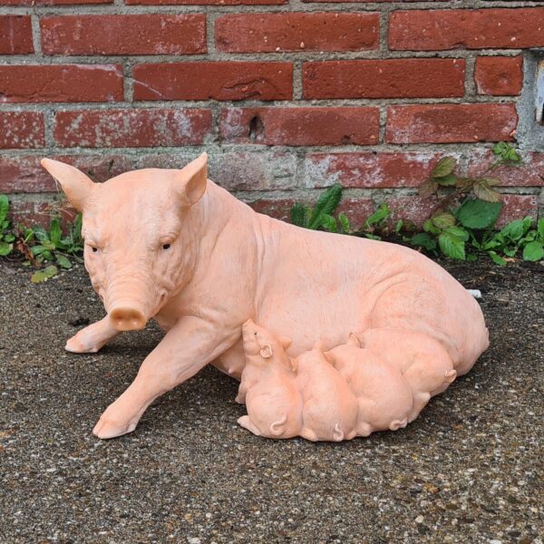 Polyester varkens voor buiten