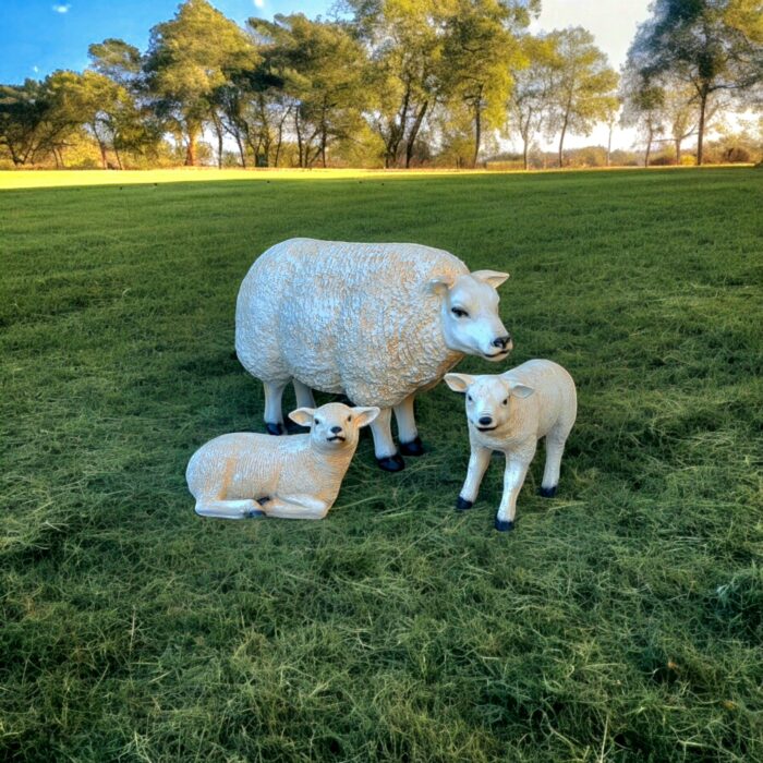 Decoratief Texels schaap beeld in landelijke buitenomgeving