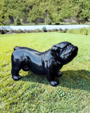 Engelse Bulldog beelden koop je bij Vrolijke Beelden in Almelo