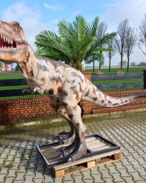 Dinosaurus beeld decoratie voor binnen en buiten