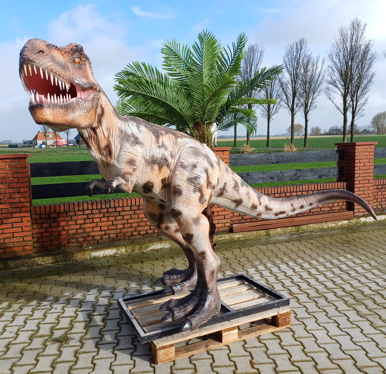Dinosaurus beeld decoratie voor binnen en buiten