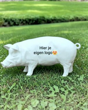 Wit varken beeld met eigen logo bedrukking voor reclame of decoratie