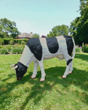 Decoratie koetje 120 cm. Grazend model realistisch