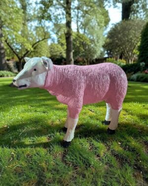 Beeld van een Texels lammetje in roze geschilderd
