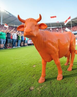 Oranje koe als mascotte voor het Nederlandse voetbal elftal tijdens het WK