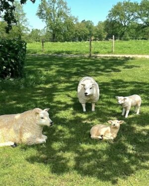 Beelden van 2 decoratieve schapen in de tuin met 2 lammetjes.