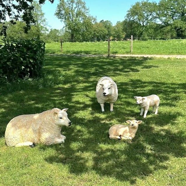 Beelden van 2 decoratieve schapen in de tuin met 2 lammetjes.