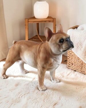 Realistisch Franse bulldog beeld staand bruin wit hond beeld decoratie