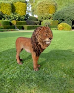 Levensecht beeld van een polyester leeuw. 150 cm Lion King beeld