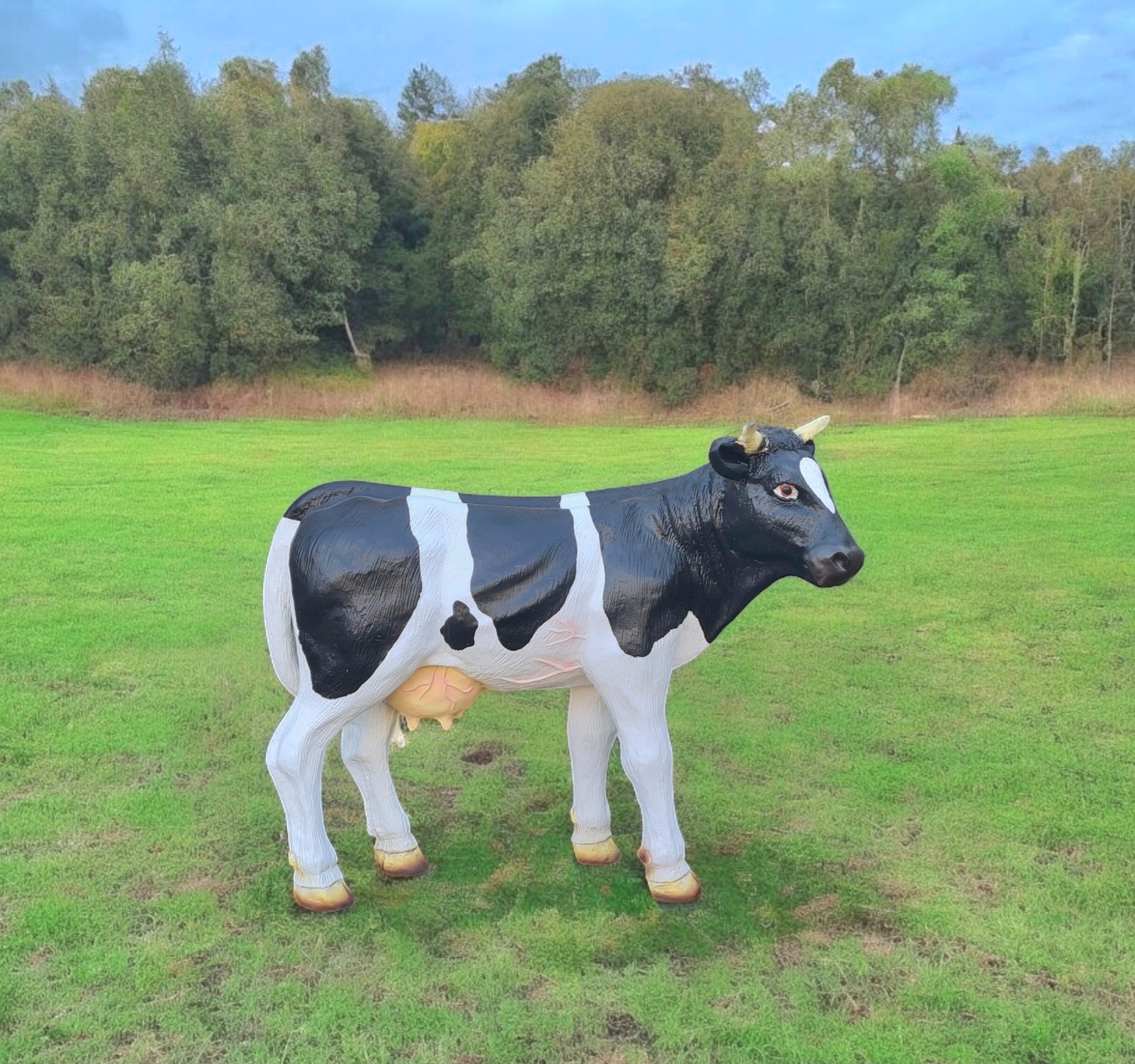 Decoratief kalf beeld zwartbont voor buiten