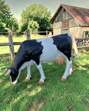 Levensgroot polyester beeld van een grazende koe voor buiten in de tuin